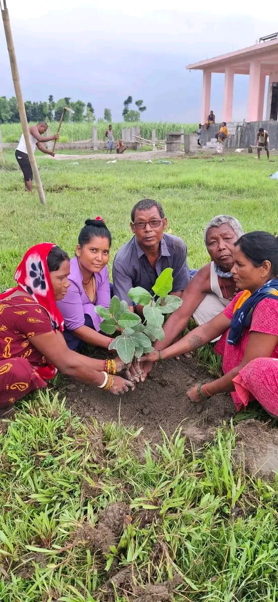 स्वास्थय रहन र निरोगी बन वृक्षा रोपन गरी वातावरण सफा र स्वास्थय बनाउन