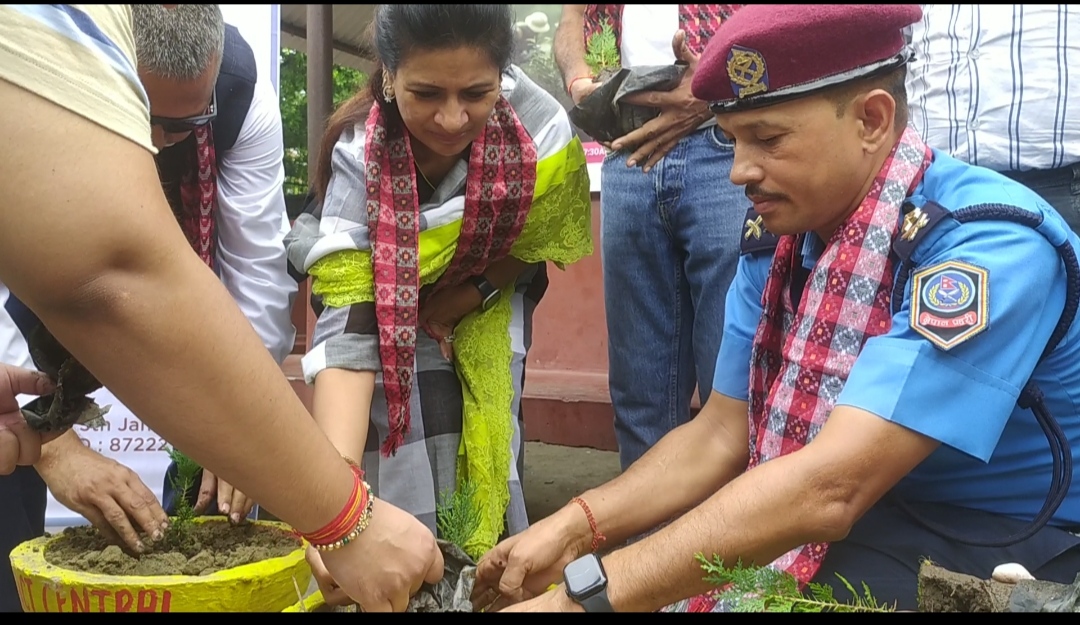 विराटनगरमा रोट्रयाक्ट क्लबद्वारा ‘रोपाइँ जात्रा’ को आयोजना, सडक किनारलाई हरियाली बनाउन १५० गमला राखियो