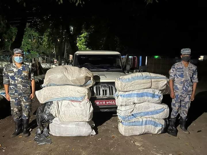 सशस्त्र प्रहरीद्वारा २ सय ३८ किलो गाँजा बरामद