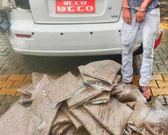 विराटनगरबाट ४३ किलो गाँजासहित दुई युवक पक्राउ