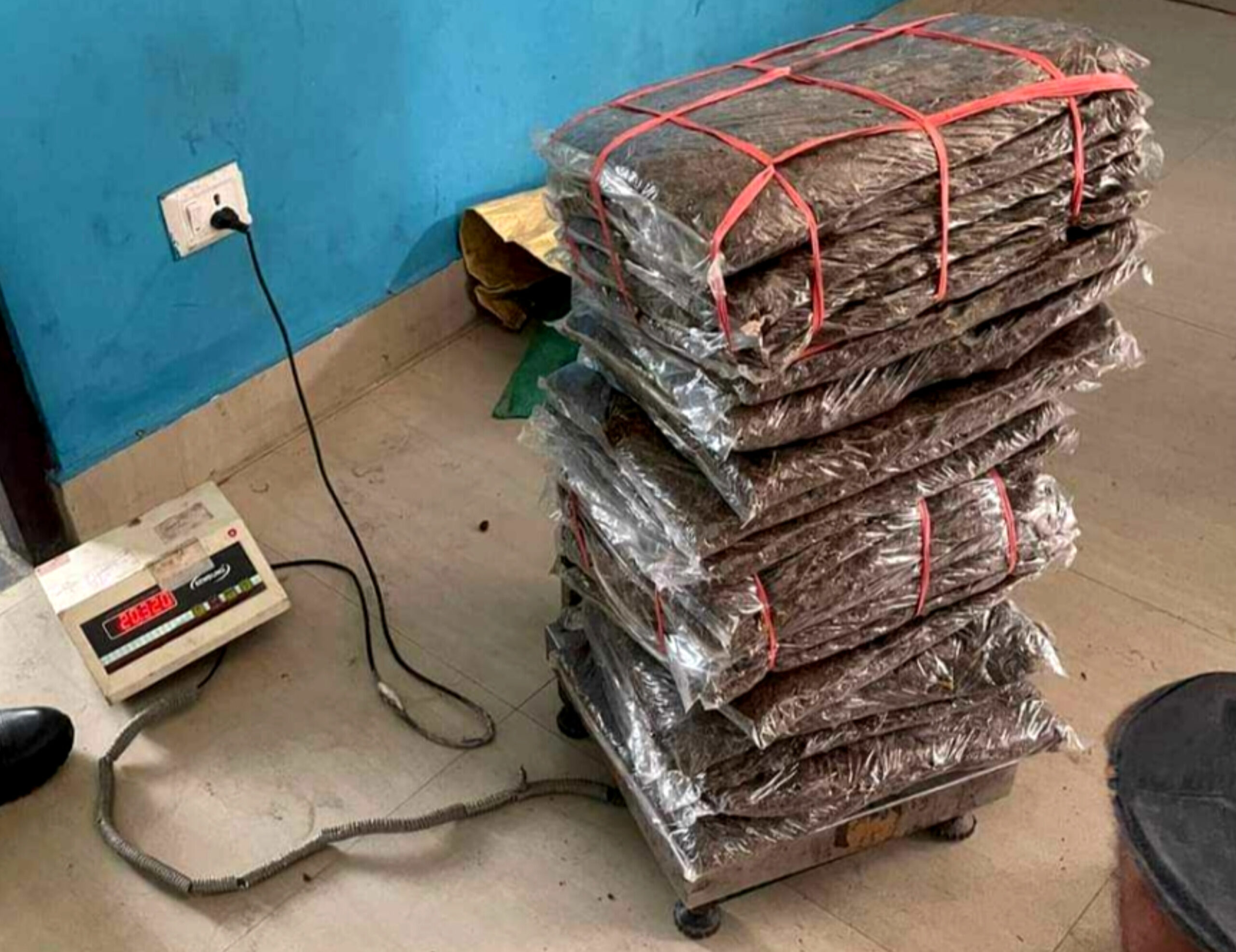 विराटनगरमा लागुऔषध गाँजा बोकेको भारतीय कार नियन्त्रणमा