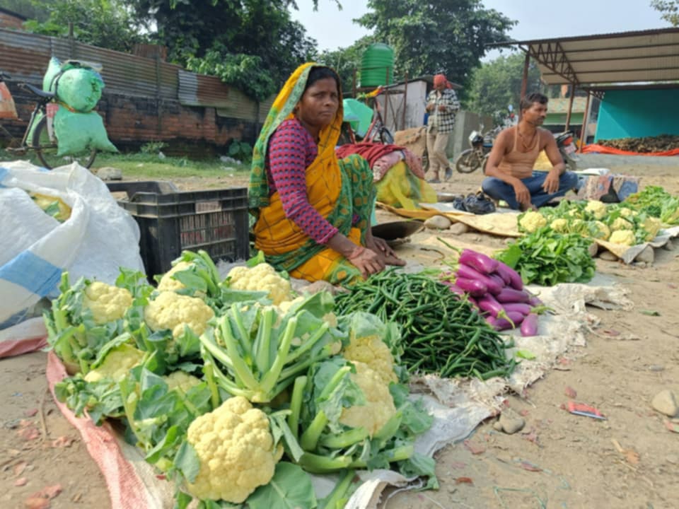 देवानगञ्ज बजारमा भारतबाट आएका सस्ता तरकारीले स्थानीय किसान मर्कामा