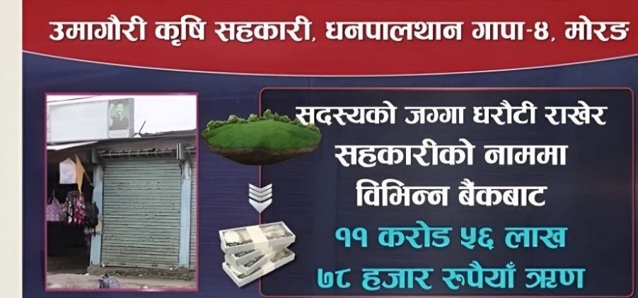 उमागौरी सहकारी ठगी प्रकरण: संघीय संसद्का सभापतिकी पत्नी अञ्जला कोइरालासहित २२ जनाविरुद्ध मुद्दा
