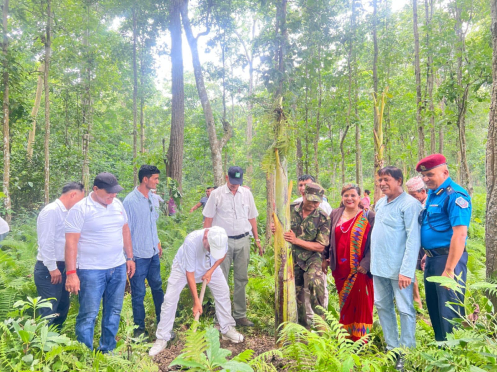 सामुदायिक वन दिवसमा डाँस मोरङ्गीमा वृक्षरोपण